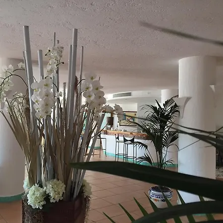 彭塔艾斯特酒店 酒店 4*